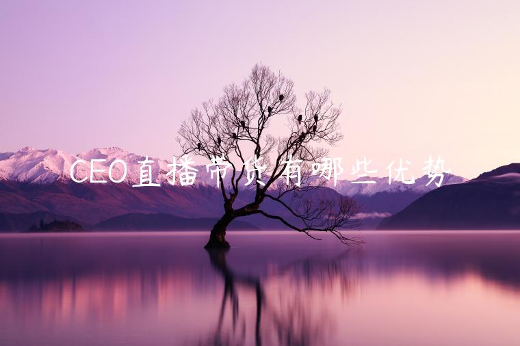 CEO直播帶貨有哪些優(yōu)勢